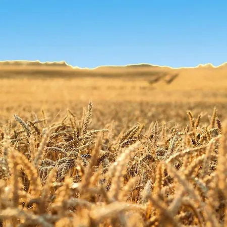 Ferienhaus Hyggelig In Seehausen Am Oberuckersee * Seehausen (Uckermark)