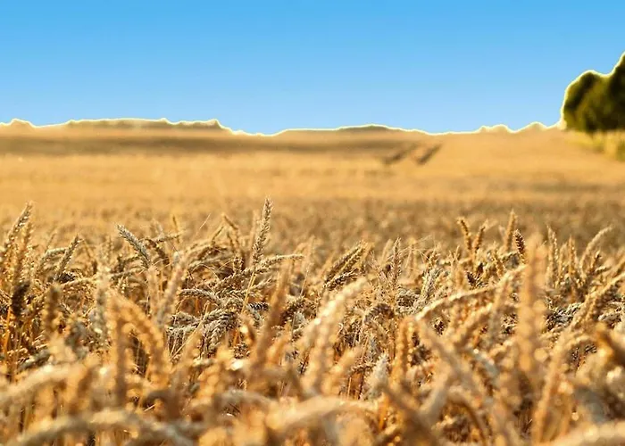 Ferienhaus Hyggelig In Seehausen Am Oberuckersee * Seehausen (Uckermark)